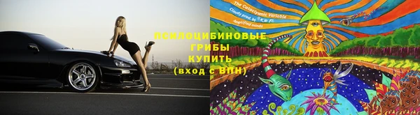 СК Коряжма