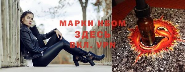 СК Коряжма