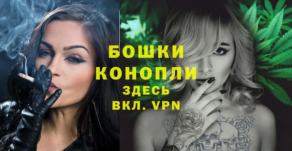 СК Коряжма