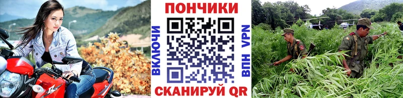 Канабис LSD WEED  Купить  Кувшиново 